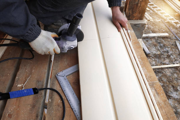 Best Vinyl Siding Installation  in Pembroke Pines, FL